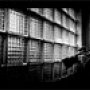 Fotograf �lubny - Krzysztof , Namys��w