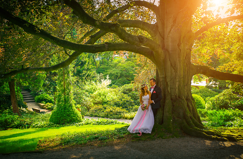 Zdjęcia ślubne w Arboretum w Wojsławicach 4