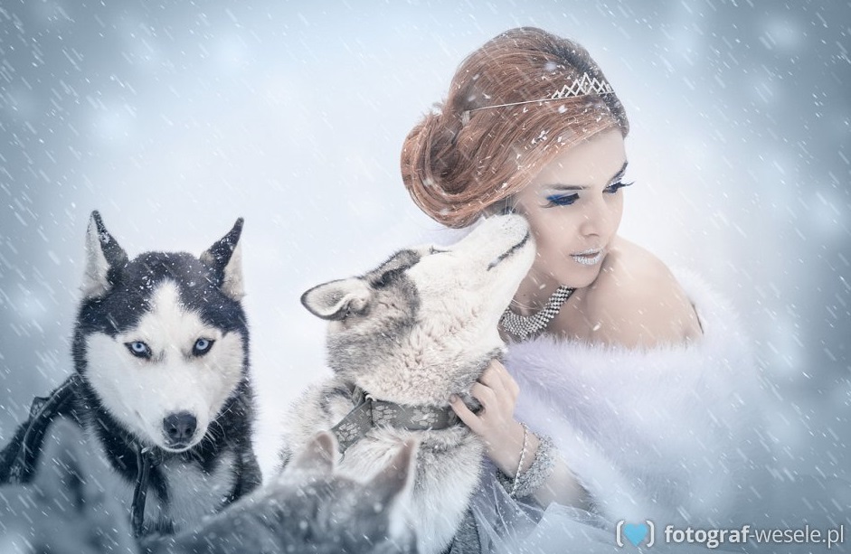 Zimowa panna młoda z psami