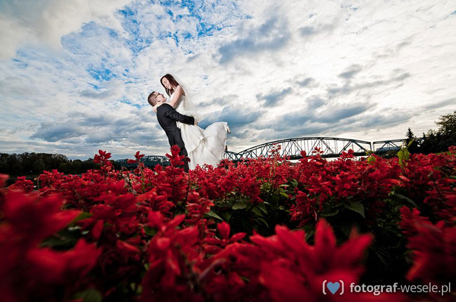 Toruń - para młoda na planie wśród czerwonych kwiatów