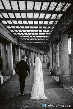 zdjęcia ślub - Rawicz