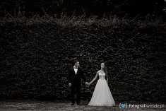 fotograf na wesela - Błaszki