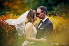 fotograf na wesele - Ozorków