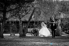zdjęcia ślubne - Będzin