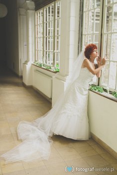 zdjęcia wesele - Chełm