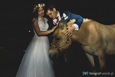 fotografia ślub - Gdynia