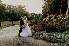 fotografia ślub - Puławy