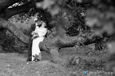 zdjęcia na ślub - Kalisz