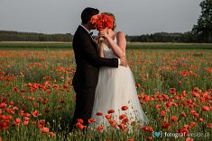 fotografie na wesele - Piła