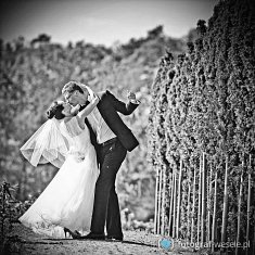 zdjęcia wesele - Dobrzeń Wielki