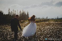 zdjęcia na ślub - Świdnica