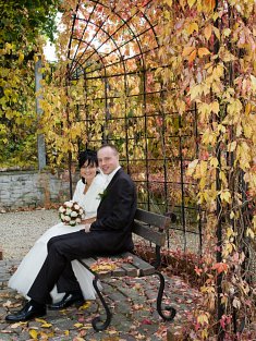 zdjęcia wesele - Wyszków