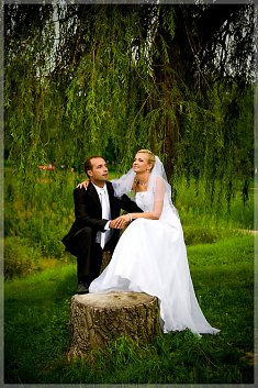 fotograf na wesela - Witkowo