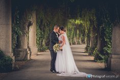 fotograf na śluby - Namysłów