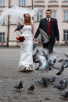 zdjęcia ślubne - Olkusz