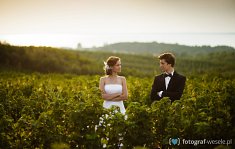 zdjęcia na ślub - Leszno