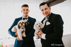 fotograf na śluby - Legnica