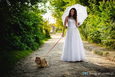 zdjęcia wesele - Łęczna