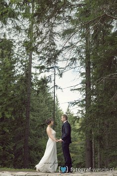 foto na wesele - Świdnica