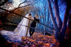zdjęcia wesela - Niepołomice
