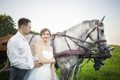 fotograf na ślub - Nisko