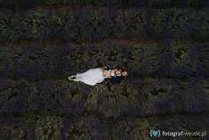 zdjęcia ślub - Dobrodzień