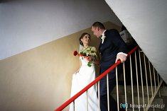 zdjęcia ślubne - Malbork