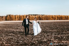 fotografia na wesele - Gryfów-Śląski