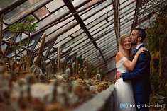 zdjęcia na ślub - Lubiń
