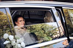 zdjęcia na ślub - Sieradz