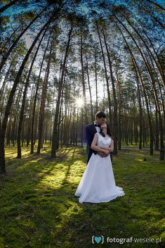 zdjęcia ślubne - Nowe Skalmierzyce