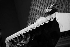 Fotograf weselny - Wroc�aw