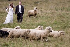 Wesele zdjęcia - Rzgów
