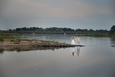 Fotografie ślubne - Kożuchów