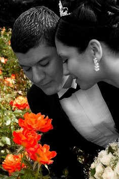 Fotografie �lubne - Sza�e