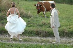 Tanie zdj�cia �lubne - Tarn�w