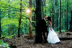 Tanie zdj�cia �lubne - Ostrowiec �wi�tokrzyski