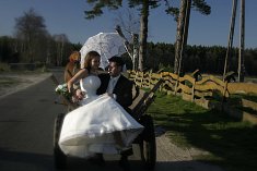 Fotograf - �lub - Piotrk�w Trybunalski
