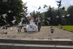 Tanie zdj�cia �lubne - Ostrowiec �wi�tokrzyski