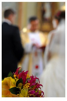 Wesele - fotografie - Przemyśl