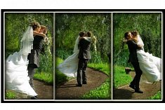 Wesele zdj�cia - Twor�g