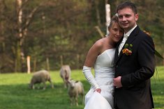 Fotografie �lubne - �ory