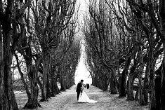 Fotograf - �lub - Sosnowiec