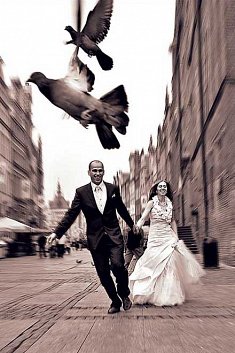 fotografia wesele - Kościerzyna