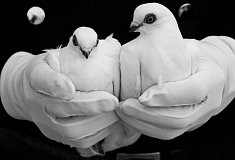 foto na �lub - Zamo��