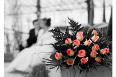 fotograf na �luby - Piekary �l�skie