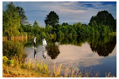 fotografia wesele - Strzyżów