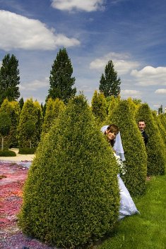 fotografie na �luby - B�dzin