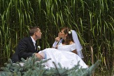 fotografia na �luby - Sosnowiec