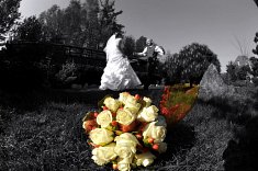 fotografie wesela - Czelad�